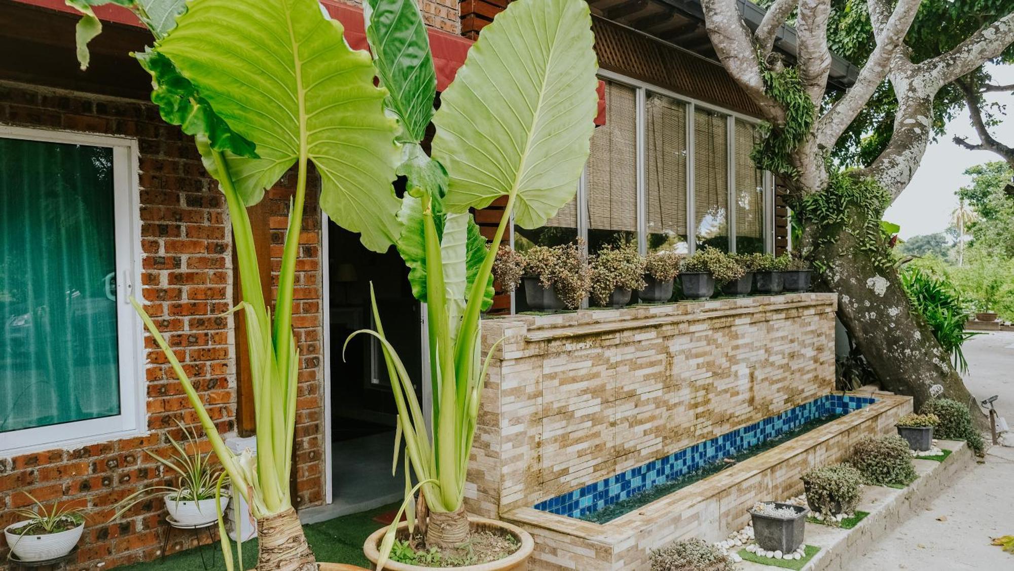 Destini Akef Villa Pantai Cenang  Εξωτερικό φωτογραφία